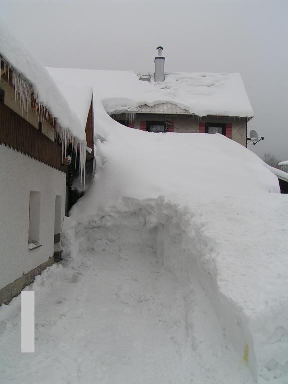 Pension U Krtka - Primo U Sjezdovky Harrachov Exterior photo